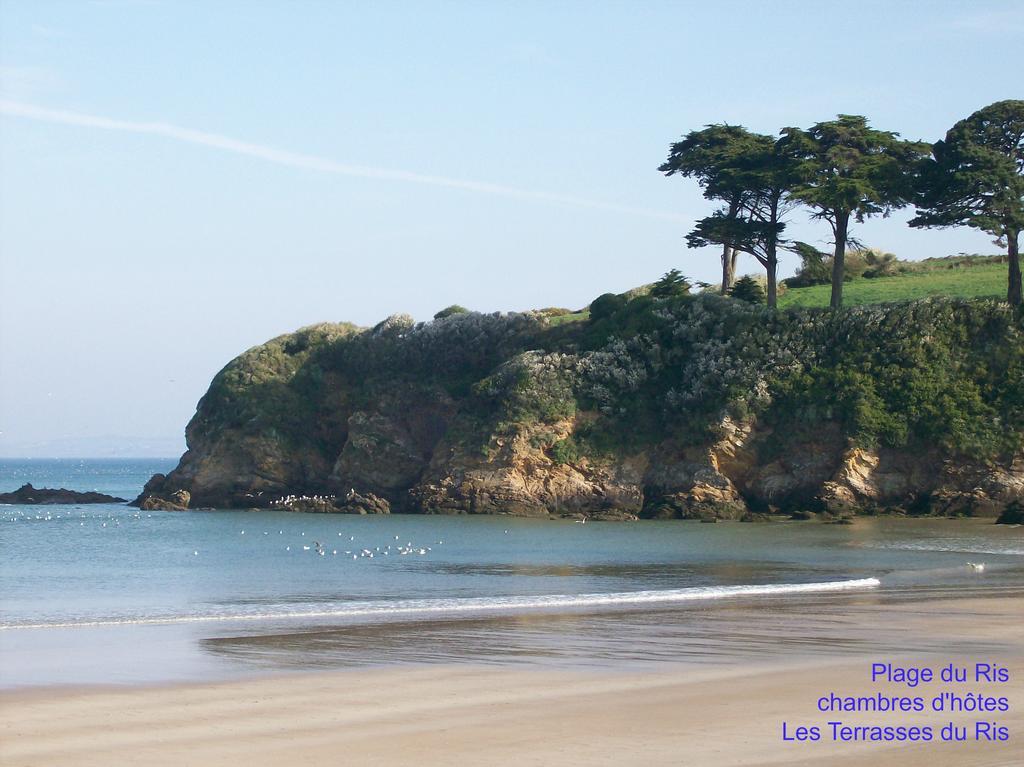 Les Terrasses Du Ris Acomodação com café da manhã Douarnenez Exterior foto