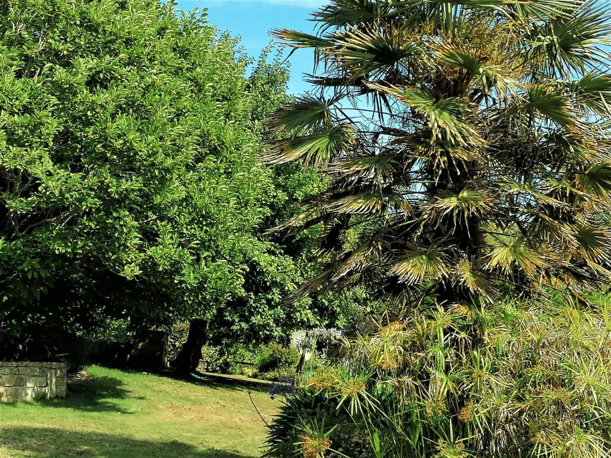 Les Terrasses Du Ris Acomodação com café da manhã Douarnenez Exterior foto